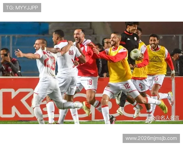 2026年南美洲区世界杯参赛名额具体数量分析