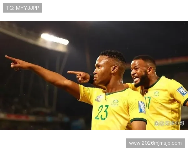 南非世界杯决赛精彩集锦：比赛中的关键时刻与精彩进球