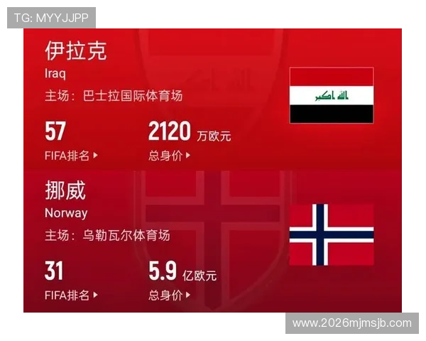 世界杯伊拉克队与挪威队国旗展示引发球迷热议与比赛氛围分析